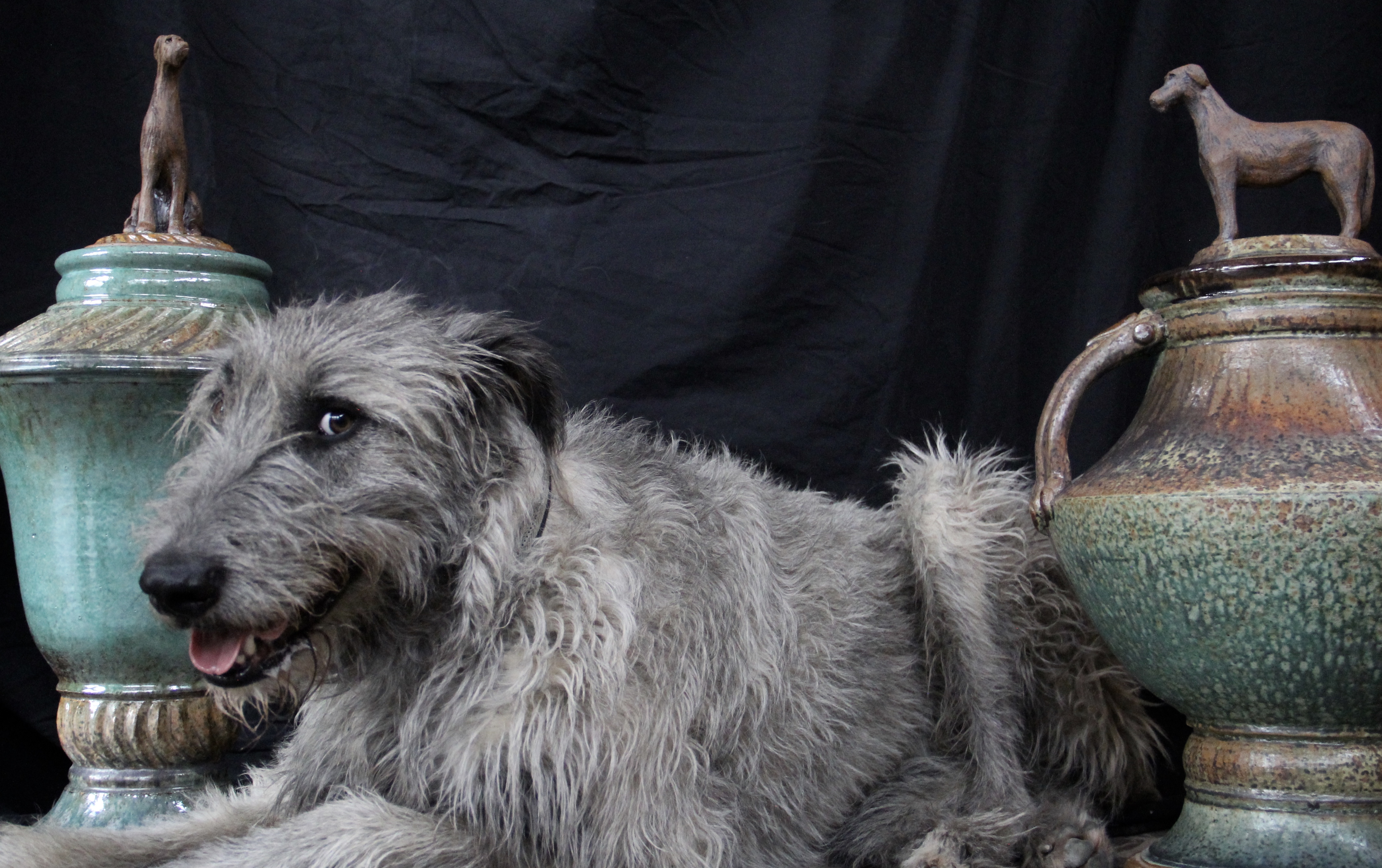 Atticus was one of 72 Irish wolfhounds that were part of a single massive rescue effort in Texas in 2014. These jars were made as donations in his honor.